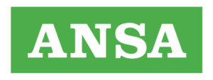 ansa